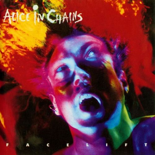 alice in chains facelift blind